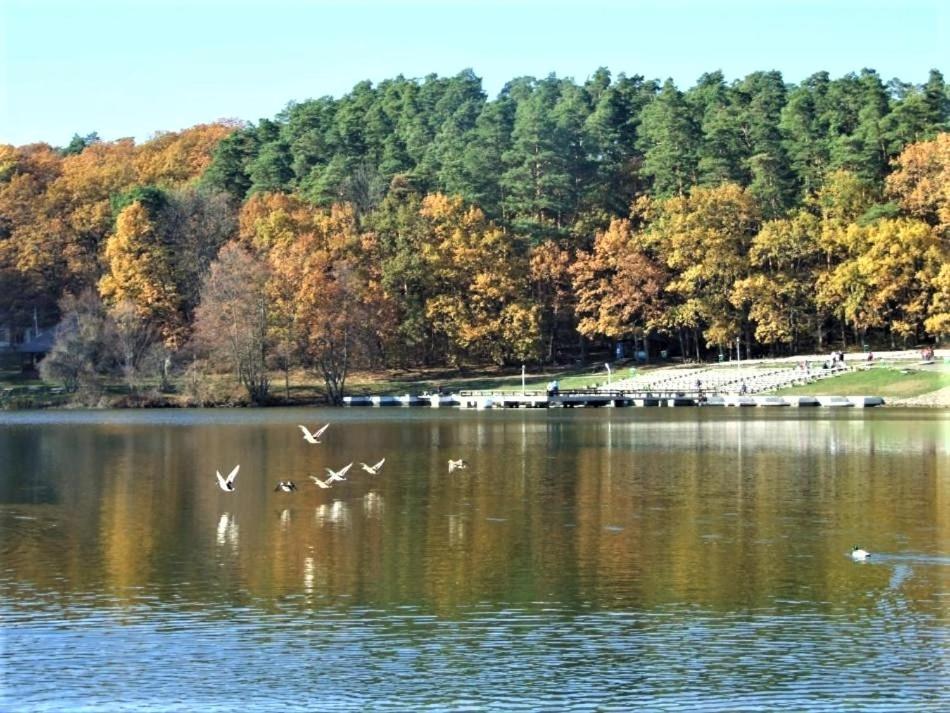 Apartament Giulio 시비우 외부 사진